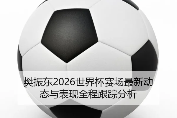 樊振东2026世界杯赛场最新动态与表现全程跟踪分析