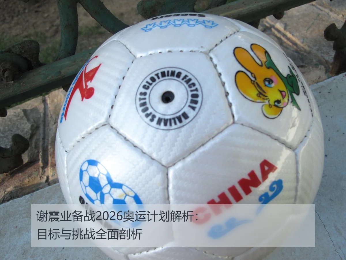 谢震业备战2026奥运计划解析：目标与挑战全面剖析